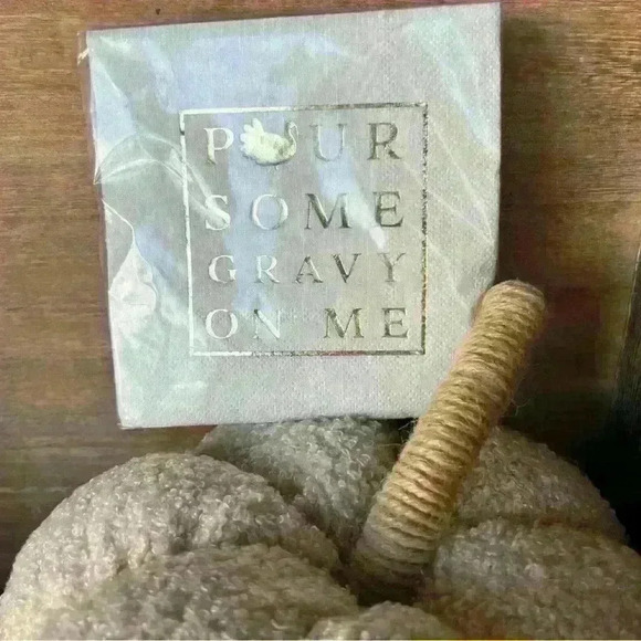 NEW 40 Count 3 ply beverage napkins - POUR SOME GRAVY ON ME! - Picture 1 of 6